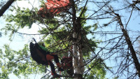 paragliding 208220634 4626868740673874 7696736684879973531 n